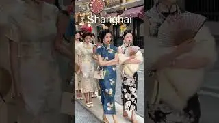 Shanghai Chronicles: A City of Endless Discoveries
