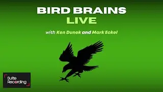 Bird Brains Live