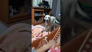 ALWAYS READY TO JUMP