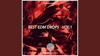 Whiplash (Radio Mix)
