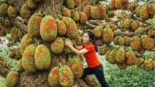 Harvesting Giant Spiky Fruits & Selling at the Rural Market | Simple Rural Girl Life
