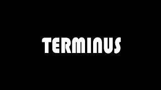 Terminus Bag Classic Sling