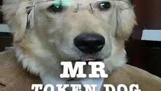 MR. TOKEN DOG 🐕