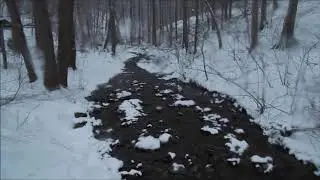 Winter Storm in Berwyn, PA