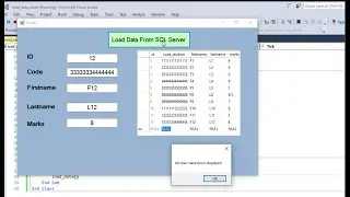 VB .NET Timer Tutorial: Display SQL Data Row by Row Automatically
