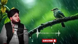 Ek Badshah Ko Bakriyan Charane Wali Se Ishq Ho Gaya | Peer Ajmal Raza Qadri Bayan
