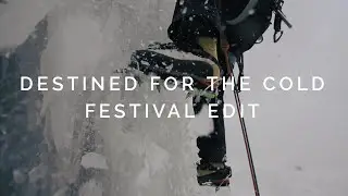 Destined for the Cold- Festival Edit
