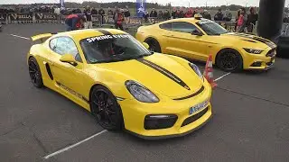 Porsche Cayman GT4 vs Mercedes-Benz GLE63 AMG vs Ford Mustang 5.0