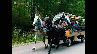 #polska #zakopane #travel 