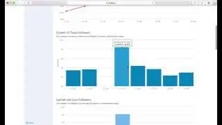 Instagram Analytics - Minter.io