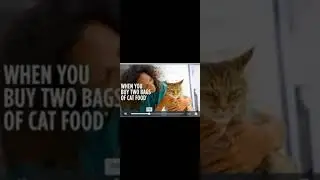 Iams Proactive Health Dry Cat Food with Chicken