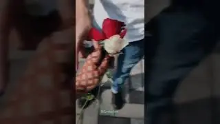 girl love propose day whatsapp status tamil |girl propose day whatsapp status  #propose_status