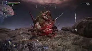 Elden Ring Nightreign - Insane Dredgelord Run