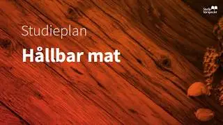 L&Auml;R DIG MER OM H&Aring;LLBAR MAT