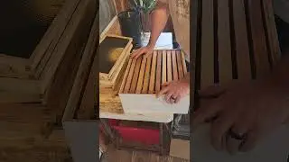 Waxing foundations and building comb faster!