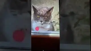 ШУТКА НА ВЫХОДНЫЕ🤣  ЮМОР ПРОДЛЕВАЕТ ЖИЗНЬ
