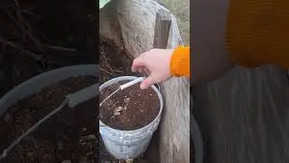 Empty Compost Toilet Process DIY