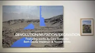 DEVOLUTION/MUTATION/EXCAVATION