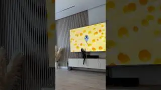 Cutie 🥰 #cat#cats#catvideo#catlovers#funnyshorts#funny#кот#кошки#смешно#смешновидео#recommended#