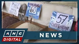 Economist: PH can't be 100% rice self-sufficient, needs both local production and imports | ANC