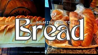 Easiest Homemade Bread in 90 minutes | Recipe Included