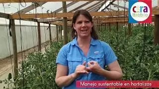 Manejo sustentable en hortalizas