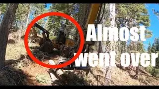 Logging the California Sierra Nevadas