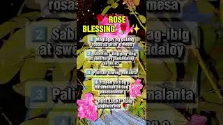 🌹ROSE BLESSING 🌹✨ #shorts #abundance #abundanceritual