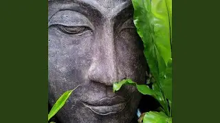 Success Through Meditation