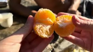 Hiking in Thai Jungles 🌴 Nature Sounds | ASMR | No Voice | Koh Samui, Thailand