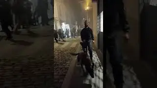 Anonyme Citoyen   La police utilise des chiens pour interpeller les manifestants &agrave; #Lyon @wildagaby