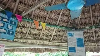 Diglipur#Arial bay#LAMIYA BAY Beach🏖🏖#Long vlog#treanding