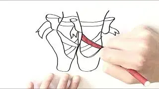 HOW TO DRAW A PAIR OF BALLET SHOES