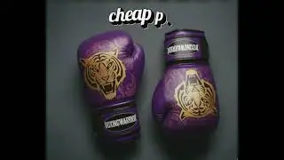 boxing gloves cheap price