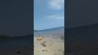 Walking at Succabus Bay, St Mary, Jamaica