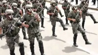 DESFILE MILITAR 2014 PARTE 3