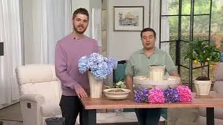 Bernini Bari 5-in-1 Cordless Fluted Fountain with Timer on QVC
