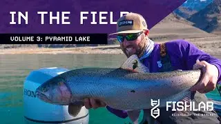 FishLab Research Team - In The Field - Volume 3 - Pyramid Lake