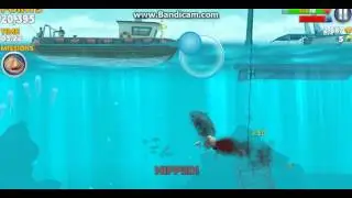 Hungry Shark Evolution REEF SHARK Gameplay