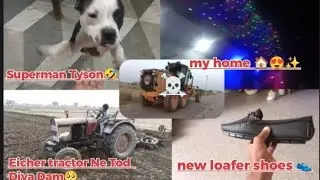 Superman Tyson 😎 | Tractor Ne Tod Diya Dam 😭 | New Shoes Swag 👟🔥 #viralvideo  