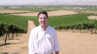 Discover California Wines: Livermore Lodi and Santa Cruz