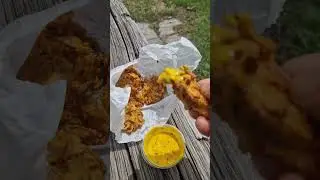 enjoying onion bhaji at Treveague Campsite cornwall