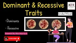 Dominant vs Recessive Trait in Urdu & Hindi | Genetic Influences in Development