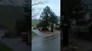 30.03.2023 Германия, частная винодельня