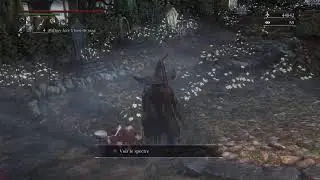 Bloodborne donjon calice en coop