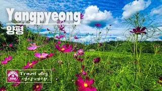 [4K] Yangpyeong 🇰🇷 / 양평 / [Travel Vlog / 모리슨 영상여행]