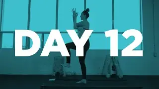 28 Day Yoga Challenge | Day 12 - Dash Yoga (Free online Yoga, Win Prizes by Practicing)