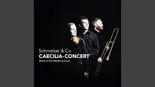 Sonata &agrave; 2