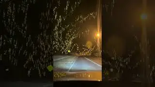 scenic drive through Mossman's raintree lights on Foxton Avenue