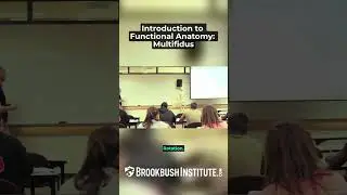 Introduction to Functional Anatomy: Multifidus